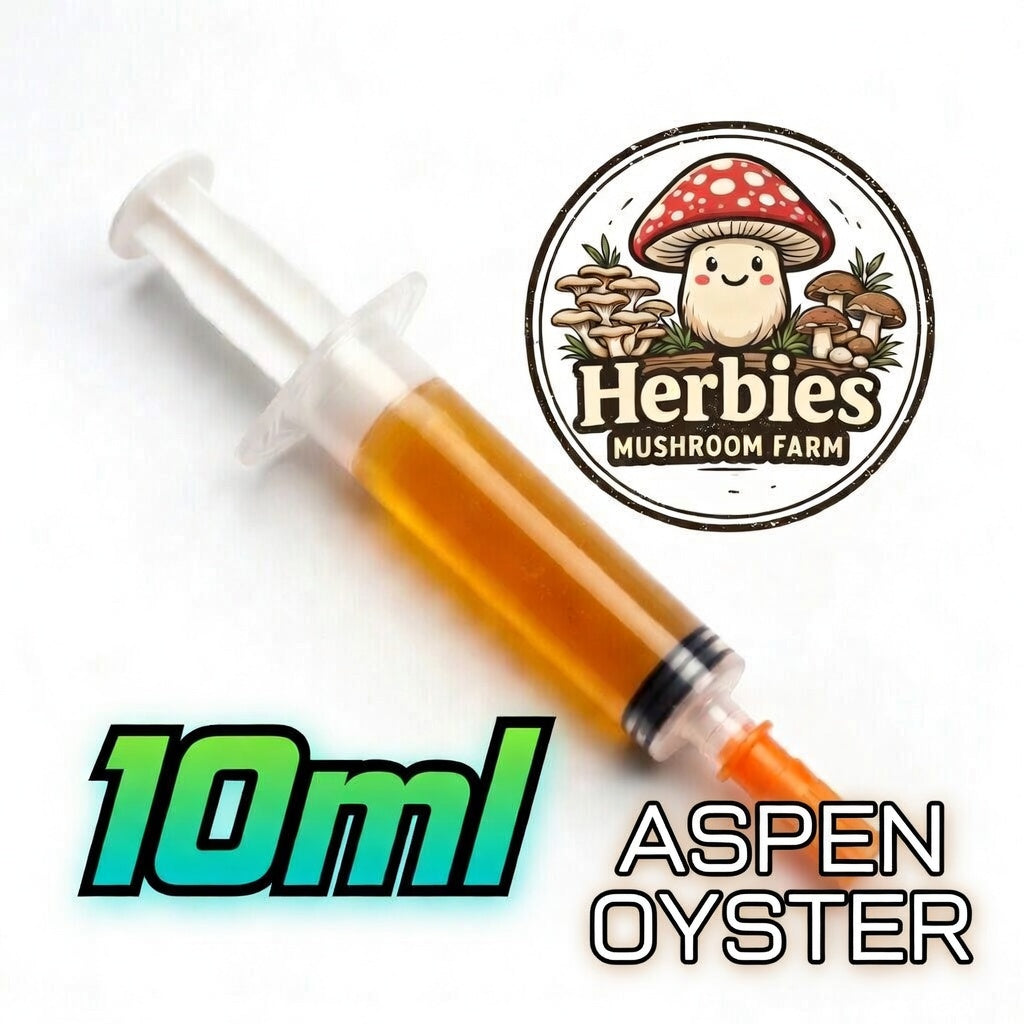 Aspen Oyster LC