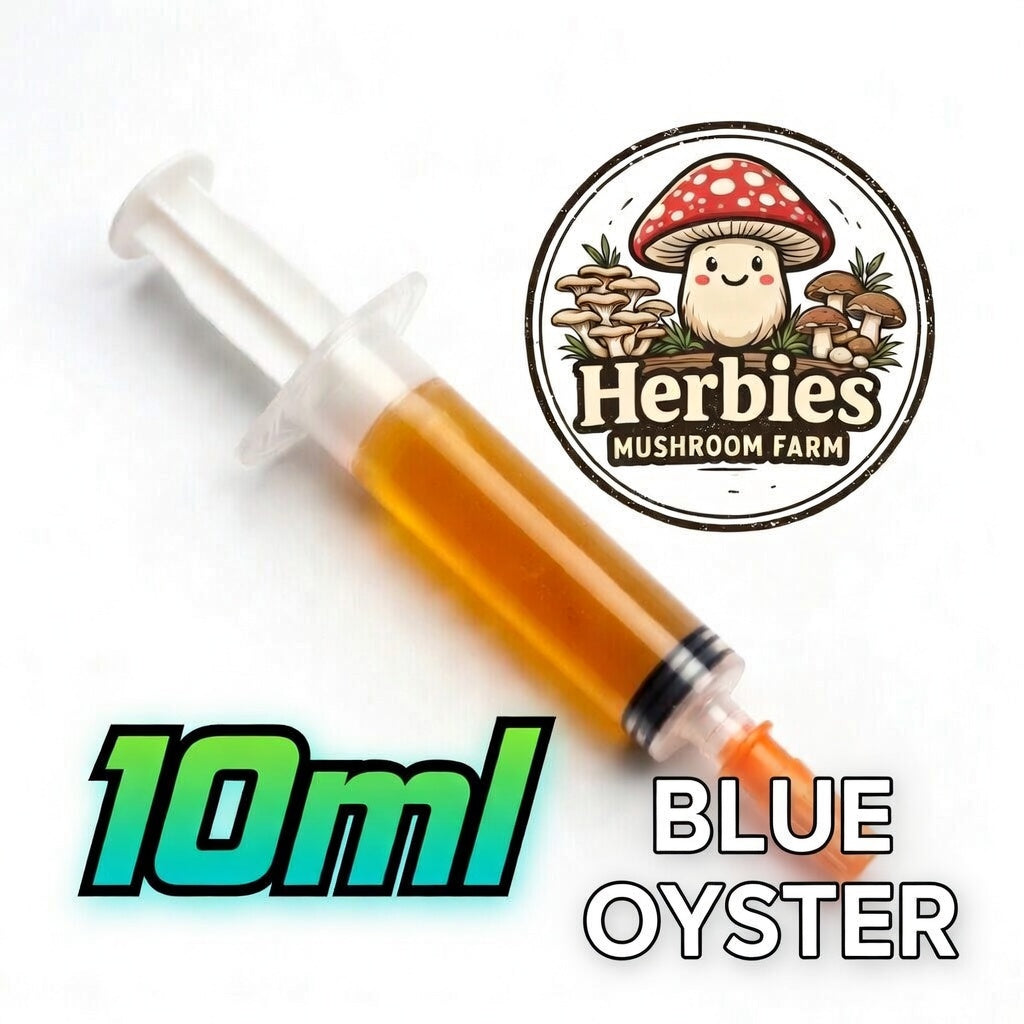 Blue Oyster LC