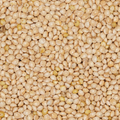Sterilized Millet - 5lbs