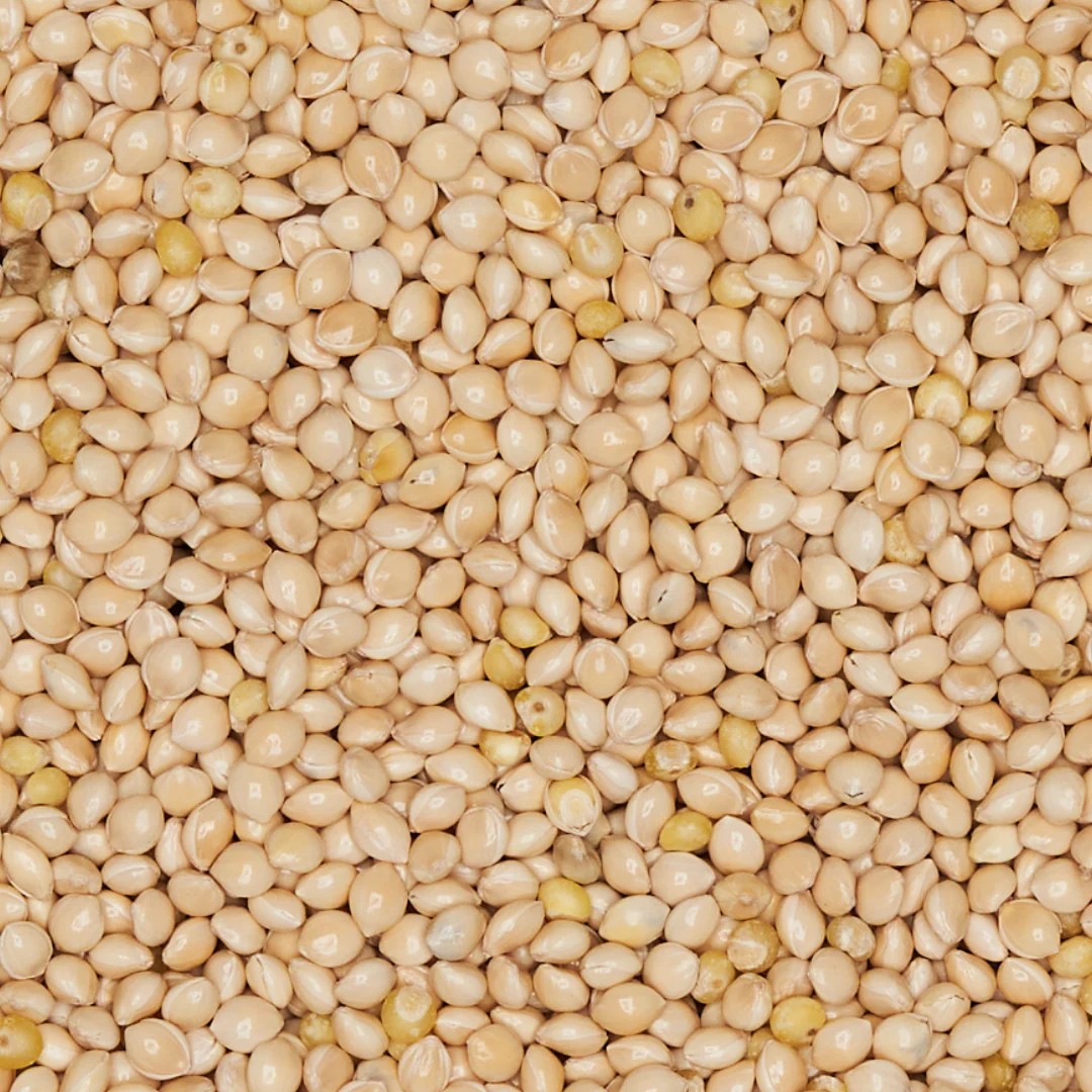 Sterilized Millet - 5lbs